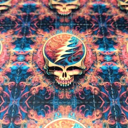 Grateful Dead Steal Your...